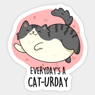 Everyday's A Caturday Cute Saturday Cat Pun. Sticker